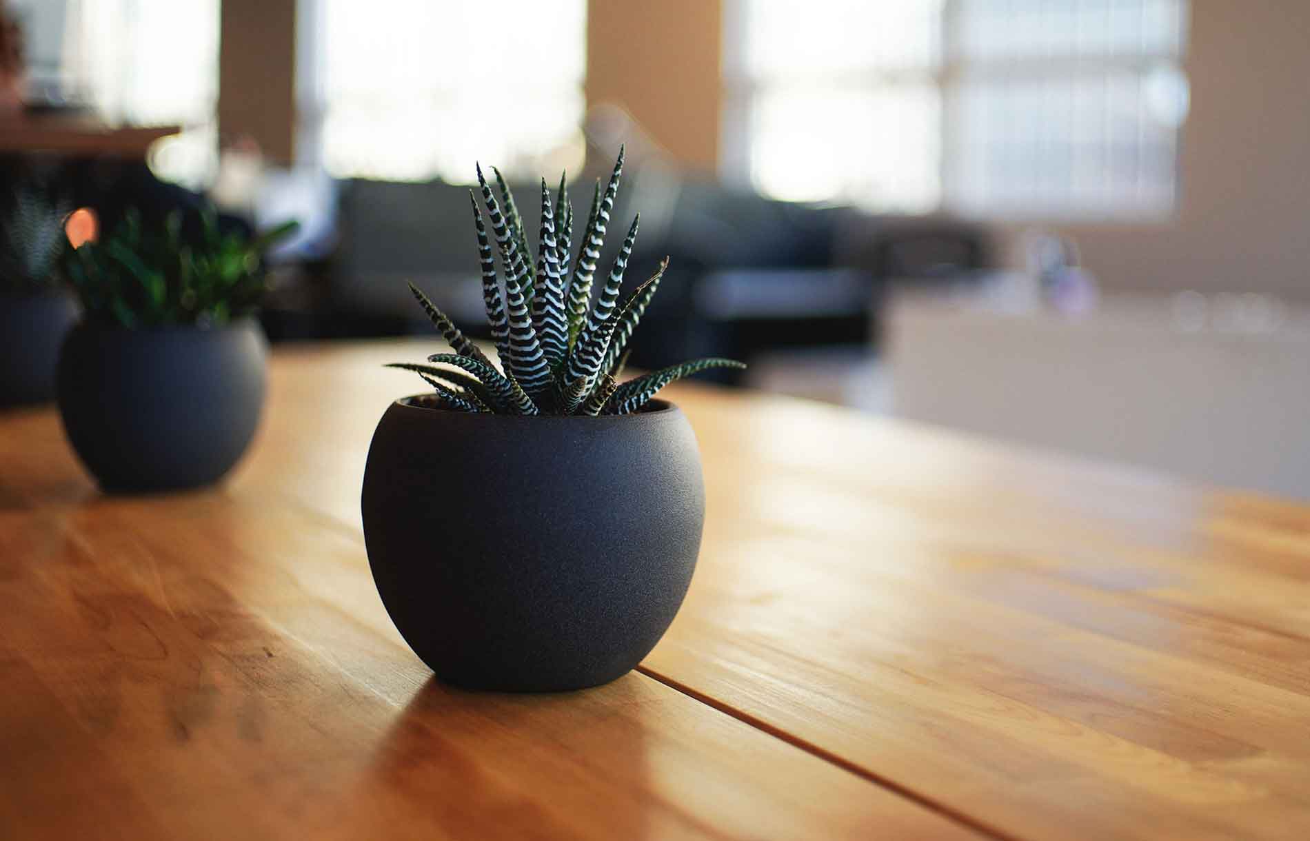 Helvita Website Redesign